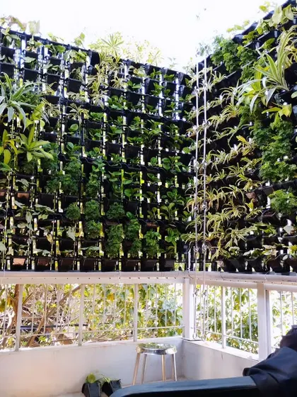 A large vertical garden installed on a covered balcony or patio. This setup creates a stunning feature wall and significantly improves the ambiance of the space.