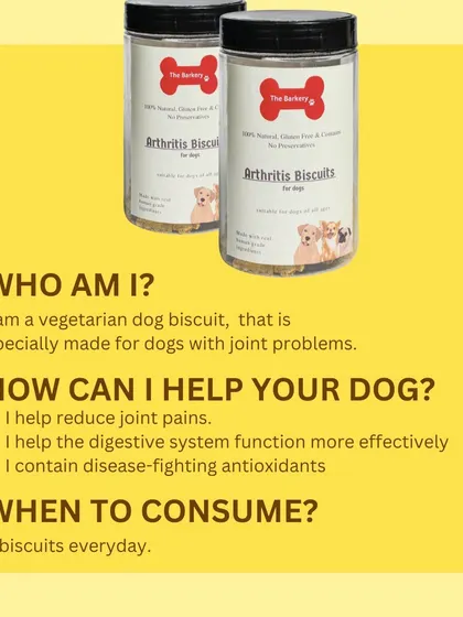 Here is everything you need to know about my vegetarian Arthritis Dog Biscuits. They are specially made to reduce joint pain, help the digestive system, and provide disease-fighting antioxidants. Just two biscuits a day can make a difference.