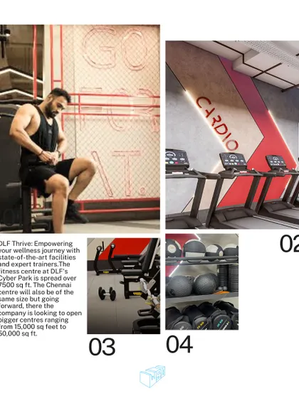 This design collage for DLF Thrive shows different zones, from the motivational "GO FOR IT" wall art to the dedicated cardio and weights areas, illustrating the comprehensive approach to wellness architecture.