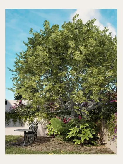 A render focusing on a quiet corner of a garden, with a classic wrought iron table and chair placed under a large, shady tree.