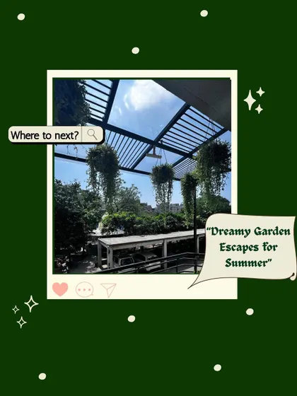 Your balcony can be a dreamy summer escape. This image, featuring lush hanging plants under a slatted roof, captures the potential of turning an urban balcony into a cool and shaded garden sanctuary.