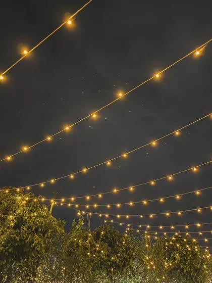 The night sky over the farm, with rows of fairy lights creating a ceiling of stars. It's a truly magical sight.