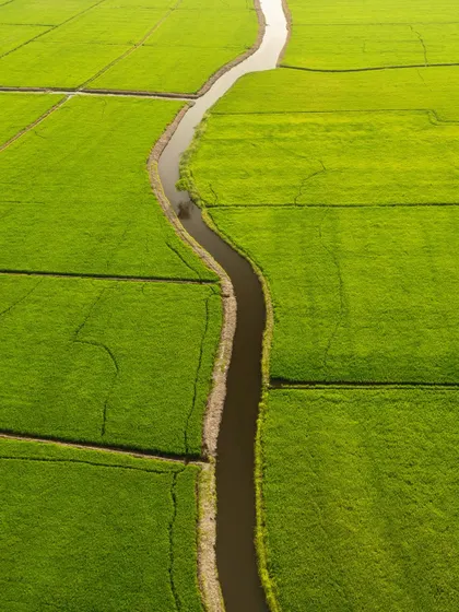 A winding river cutting through green fields, seen from directly above. This simple, elegant line in the landscape looks like a "Water Snake," part of my abstract aerial photography series.