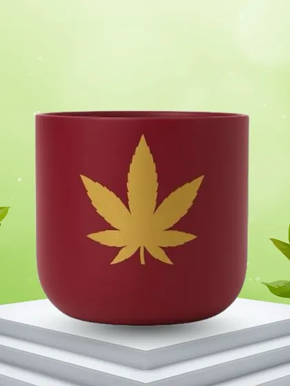 A clean product shot of our Red Golden Leaf terracotta planter. The matte red finish with the golden leaf detail is a very popular and elegant combination.