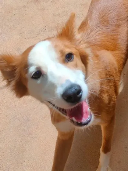 Zoey's happy Friday face. Her smile is infectious and brightens up our whole day.