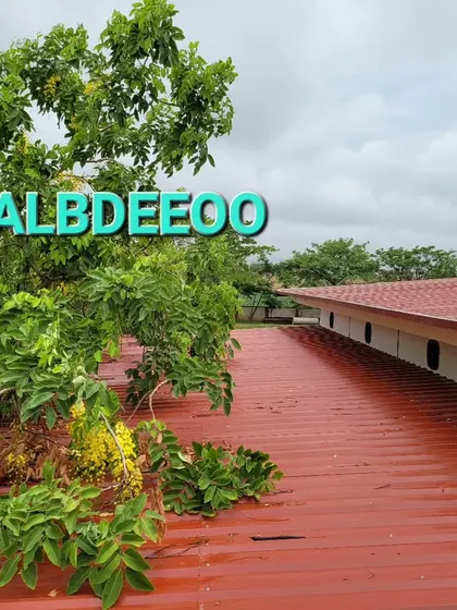 A long-span tin shed with a PPGI (Pre-Painted Galvanised Iron) roof. This is a cost-effective and durable roofing solution for large areas.