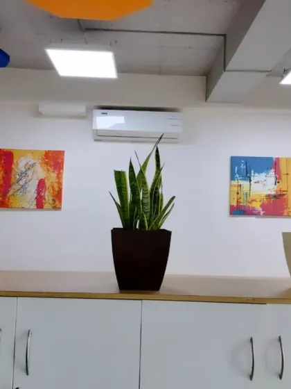 A symmetrical arrangement of potted plants on an office cabinet, framed by colorful wall art. We consider the entire visual composition, including existing decor, when styling a space.