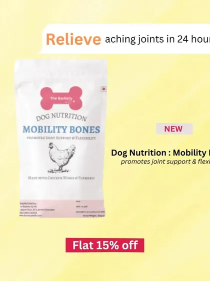 Looking for a yummy fix for aching joints? My new Mobility Bones are made with chicken wings and turmeric to provide support and increase flexibility in your dog's hips and joints. One piece daily can bring noticeable relief.
