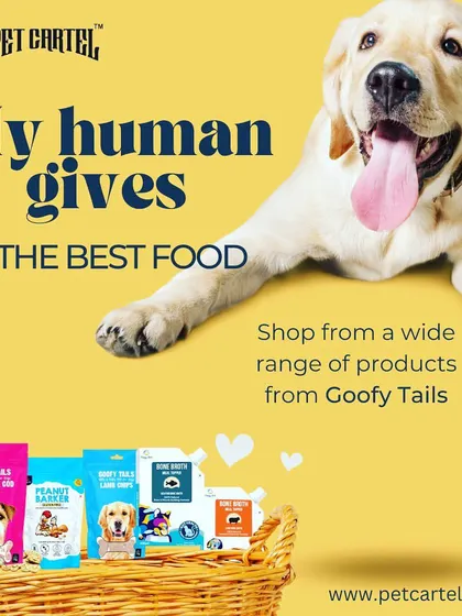 Your pet deserves the best, and we make it easy to provide it. This image highlights a basket full of Goofy Tails products, from nutritious meals to tasty treats.