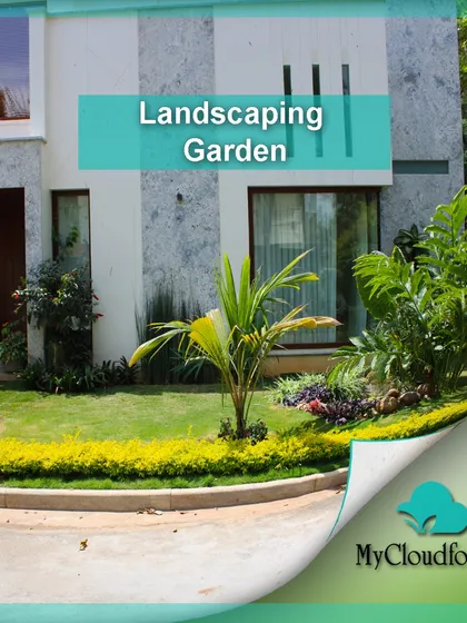 A bright yellow hedge lines the curve of this driveway, adding a pop of color and defining the edge of the lawn. This is a great example of how I use plants to create structure and flow in a landscape.