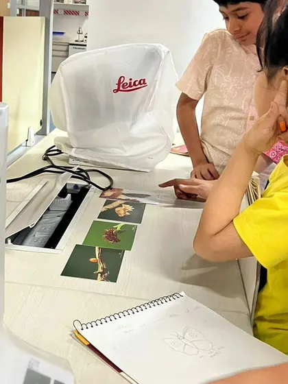 A collection of moments from our various hands-on science activities, showing children deeply engaged in learning through doing.