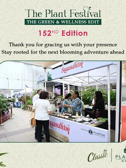 Visitors exploring the aromatic and natural products at the Sugandhim stall. We create a space where specialized artisanal brands can thrive and find their niche audience.