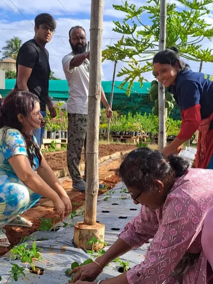 Guiding our community helpers during the strawberry plantation. It's a collaborative effort, and I'm grateful for every hand that helps our garden flourish.