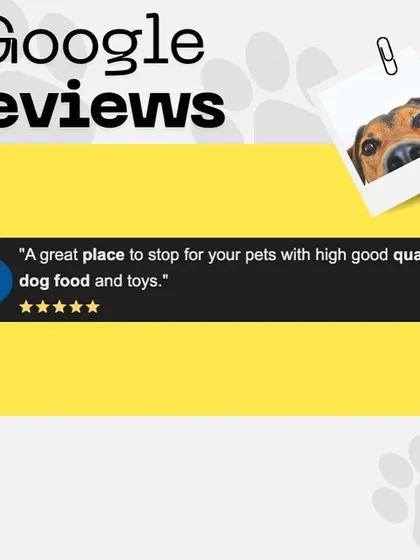 I'm so happy this customer found our store to be a great place for high-quality dog food and toys. That is exactly what I aim for.