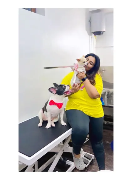 Puppy love from a Chihuahua and a French Bulldog. Working with these little ones and earning their trust is why I love what I do.