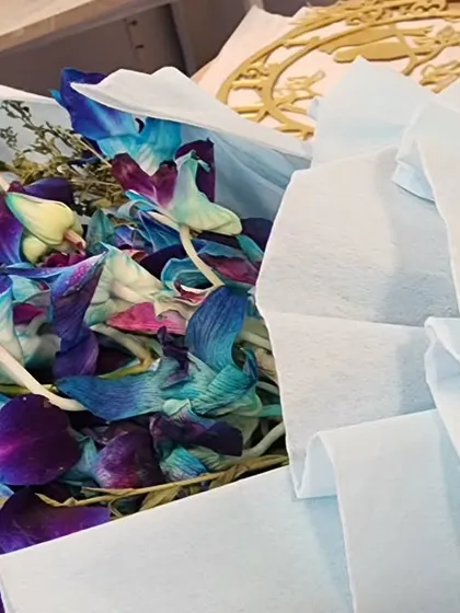Let's preserve this! A beautiful bunch of fresh orchids ready to be dried and turned into a timeless piece of art.