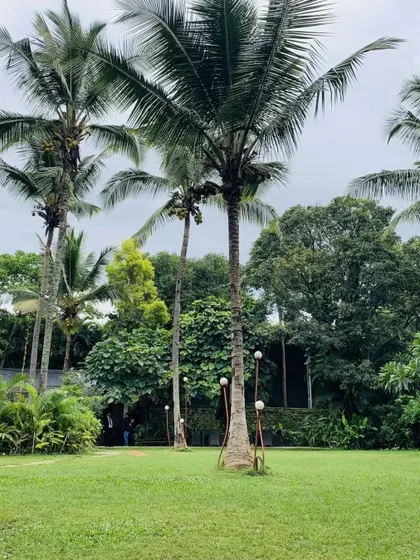 Tall, slender palm trees stand on our expansive lawn, adding to the tropical, vacation-like feel of the resort.
