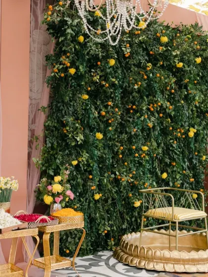 The Haldi setup, featuring a lush backdrop of greenery studded with clementines and yellow flowers. The golden seat awaits the bride, surrounded by elements that represent love, hope, and new beginnings.