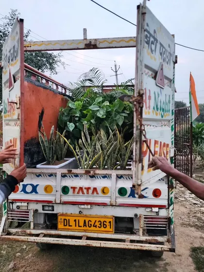 The back of a delivery truck filled with plants for our Delhi project. We are committed to creating a greener, more sustainable city, one project at a time.