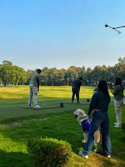 Even dogs can enjoy a day at the range. A furry spectator watches the golfers, highlighting our pet friendly environment.