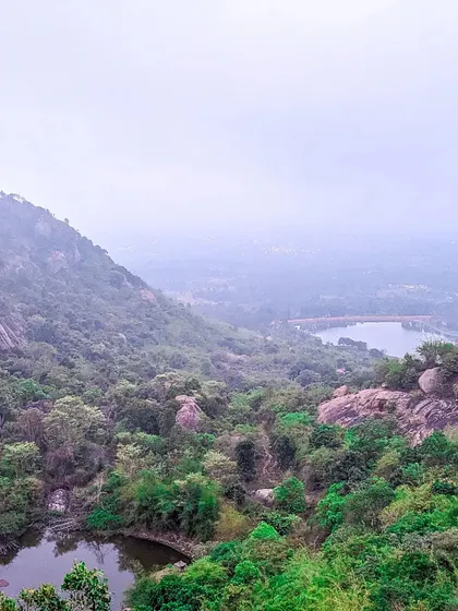 A misty, atmospheric shot of the Bananthimari hills, showcasing the kind of serene and beautiful landscapes I take teams to explore.