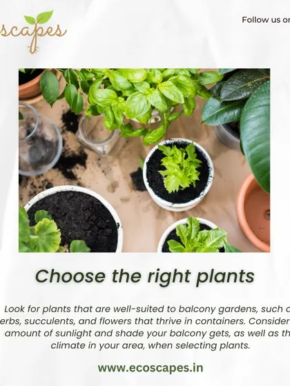 Tip: Choose the right plants for your balcony. We recommend herbs, succulents, and container-friendly flowers, and we always consider the specific sunlight and climate conditions of your space.