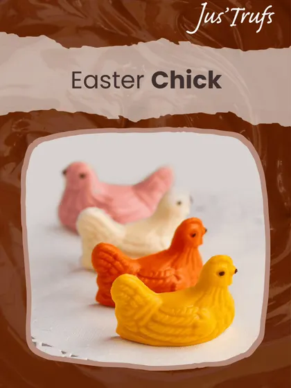 Our Easter chicks come in several colours, lined up together as part of the 2026 seasonal chocolate collection.