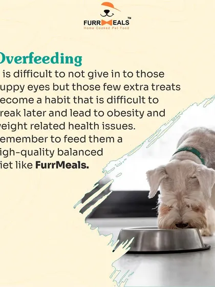 This collection of infographics and product shots provides a comprehensive guide to understanding, preventing, and managing dog obesity with my specialized diet plans and responsible treating tips.