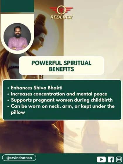 The Two-Faced Rudraksha offers powerful spiritual benefits. It enhances devotion to Shiva, increases concentration, and provides support to pregnant women during childbirth. It can be worn or kept under a pillow for mental peace.