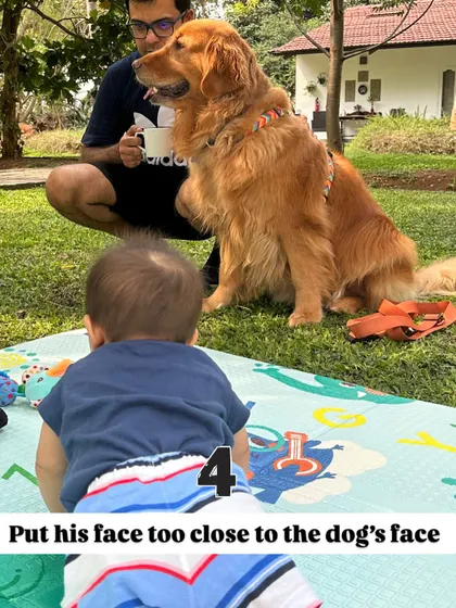 Rule number four: Putting a face close to a dog's face can be perceived as a threat. I teach my son to maintain a respectful distance to avoid making our dog feel uncomfortable.