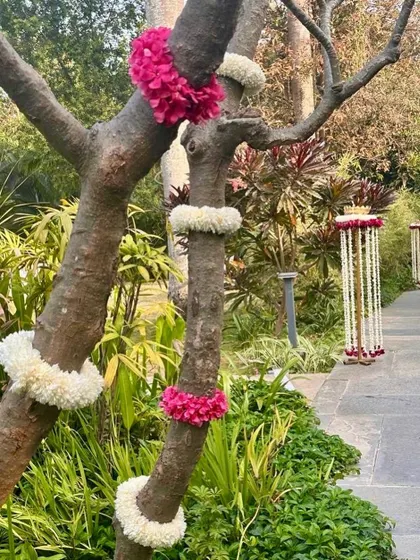 Simple and beautiful floral decorations on trees, adding a touch of elegance to the natural surroundings.