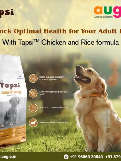 Tapsi's Chicken and Rice formula is a fantastic way to unlock optimal health for your adult dog. It's scientifically formulated to support the immune system, maintain strong bones, and sustain a healthy skin and coat.
