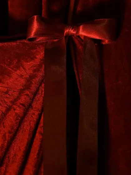 A close up of a satin bow tying back a section of the velvet curtain. It's these small, thoughtful details that elevate the entire decor scheme.