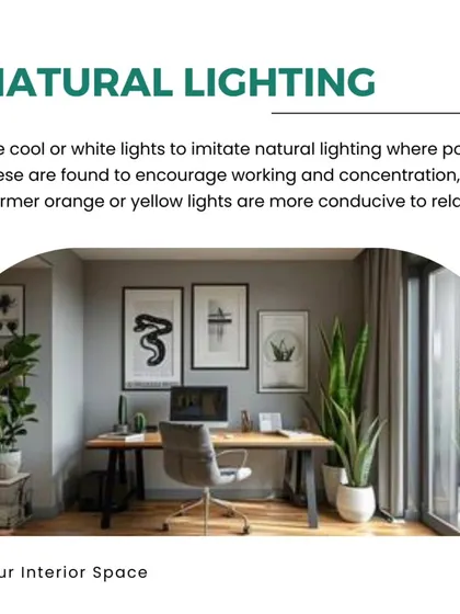 Natural lighting is key for productivity. Use cool or white lights to mimic daylight and encourage concentration.