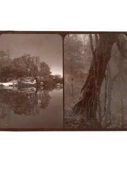 An albumen print created in our darkroom. Made using egg whites as an emulsion, this 19th-century process is known for its fine detail and unique glossy sheen.