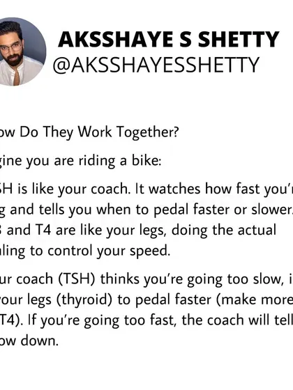 Imagine your thyroid system is like riding a bike. TSH is the coach telling you to speed up or slow down, and T3/T4 are your legs doing the pedaling. They work together to maintain the right speed for your body.