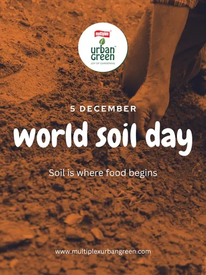 On World Soil Day, we are reminded that soil is where our food begins. We are proud to offer our organic Prithvi potting soil to help you grow safe and nutritious food at home.