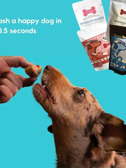 Unleash a happy dog in just 0.5 seconds with a healthy treat! My treats contain no sugar or preservatives and are made with human-grade ingredients, so you can feel good about what you're feeding your best friend.