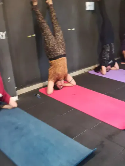 Members practicing headstands (Sirsasana) against the wall. We provide a safe environment for everyone to work on inversions and build confidence upside down.
