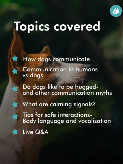 Understanding your dog's body language is key to a strong bond. This slide outlines the topics in our 'Talking to Dogs' class, where you'll learn to interpret calming signals, vocalizations, and other forms of canine communication.