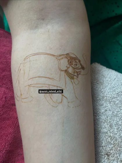 Here is the outline for the elephant figure. Getting the proportions and posture right is the foundation, and we'll practice this together before moving on to the filling.