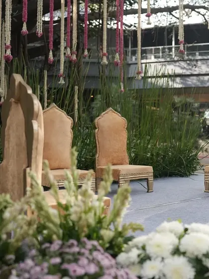 A low-angle shot of the seating area, looking towards the beautiful stage set under the branches of a large tree.