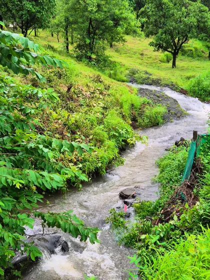 A small stream flowing through the lush landscape during our nature walk. These moments of connection with the natural world are an integral part of my retreat experience.
