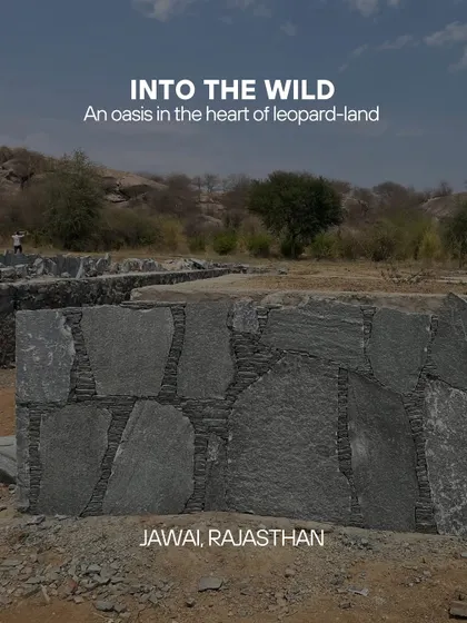 **WIP, Jawai:** The title card for our project in Jawai, "Into the Wild." The design for this oasis in leopard-land is a direct response to the rugged, elemental beauty of the Rajasthani landscape.