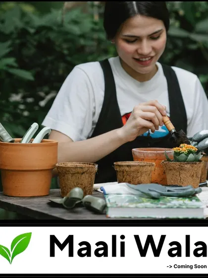 I am constantly developing new ideas and services to offer. This represents the hands on, personal approach I take with every project, from the initial potting to the final setup.