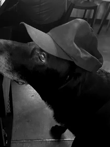 Klause looking very dapper in a hat. He's always up for dressing up.