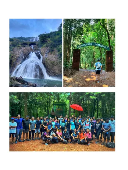 A collage of our Dudhsagar waterfalls trek, showing the falls, the forest trail, and our happy group. Batches are available every weekend from Bengaluru.