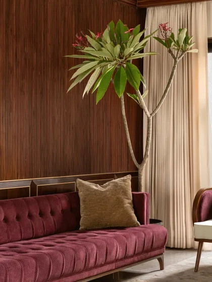The deep tufting on this custom magenta velvet sofa adds a layer of classic luxury, contrasted with the modern wood-paneled wall. We believe in mixing styles to create a space that feels intentional and deeply personal.