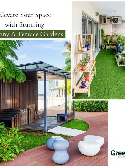 Elevate your space with stunning balcony and terrace gardens. This collage showcases how I can transform any outdoor area into a serene retreat that blends beauty and nature seamlessly.