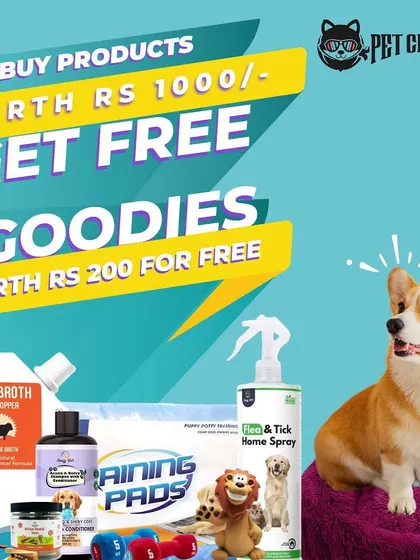 We love adding a little something extra to your order. With this deal, you get free goodies when your purchase value crosses a certain threshold.
